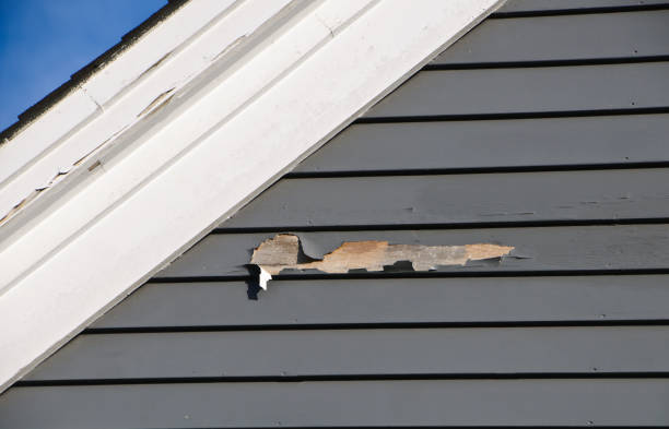Best Same-Day Junk Removal Services  in Stonewall, LA